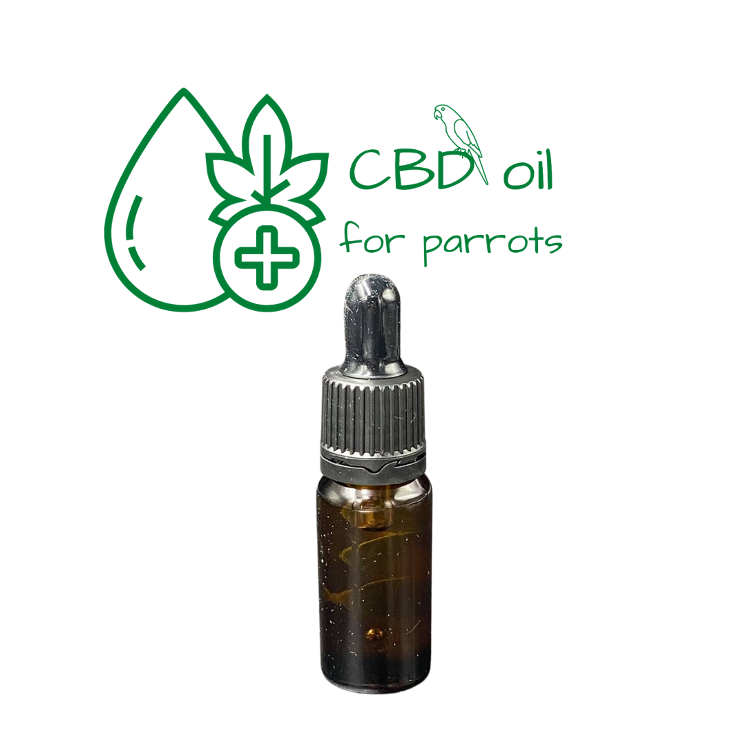 CBD oil for Parrots