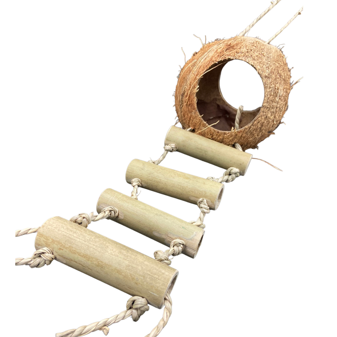 Coconut Hut Ladder