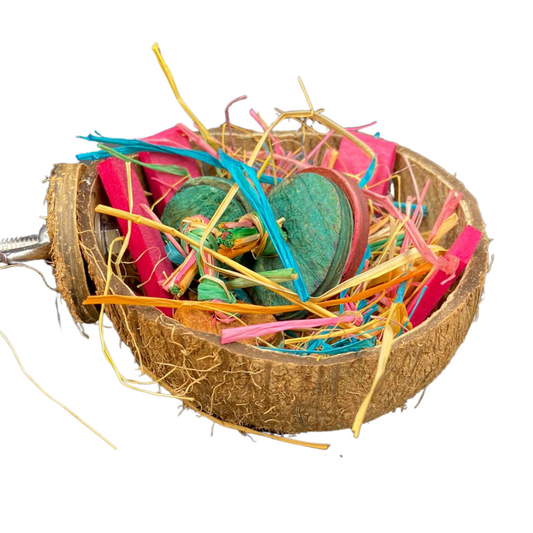 Foraging Coconut Cups