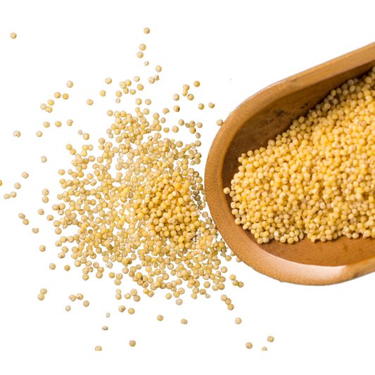 White Millet