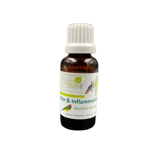 F10 Drops - Pain & Inflammation