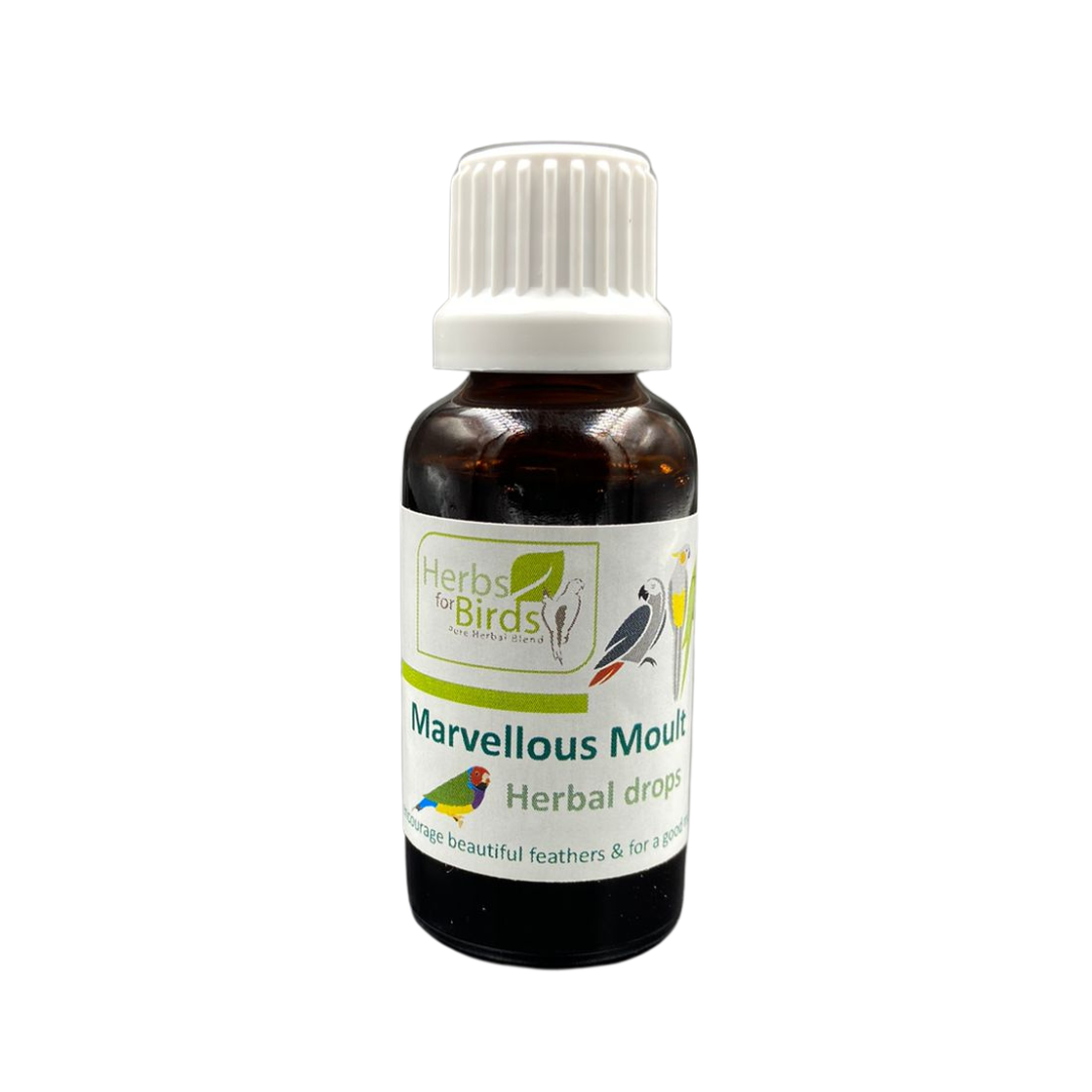 F7 Drops - Marvellous Moult