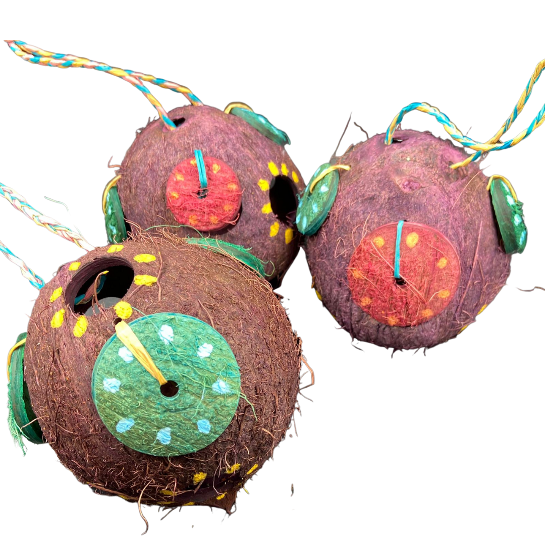 Foraging Toys